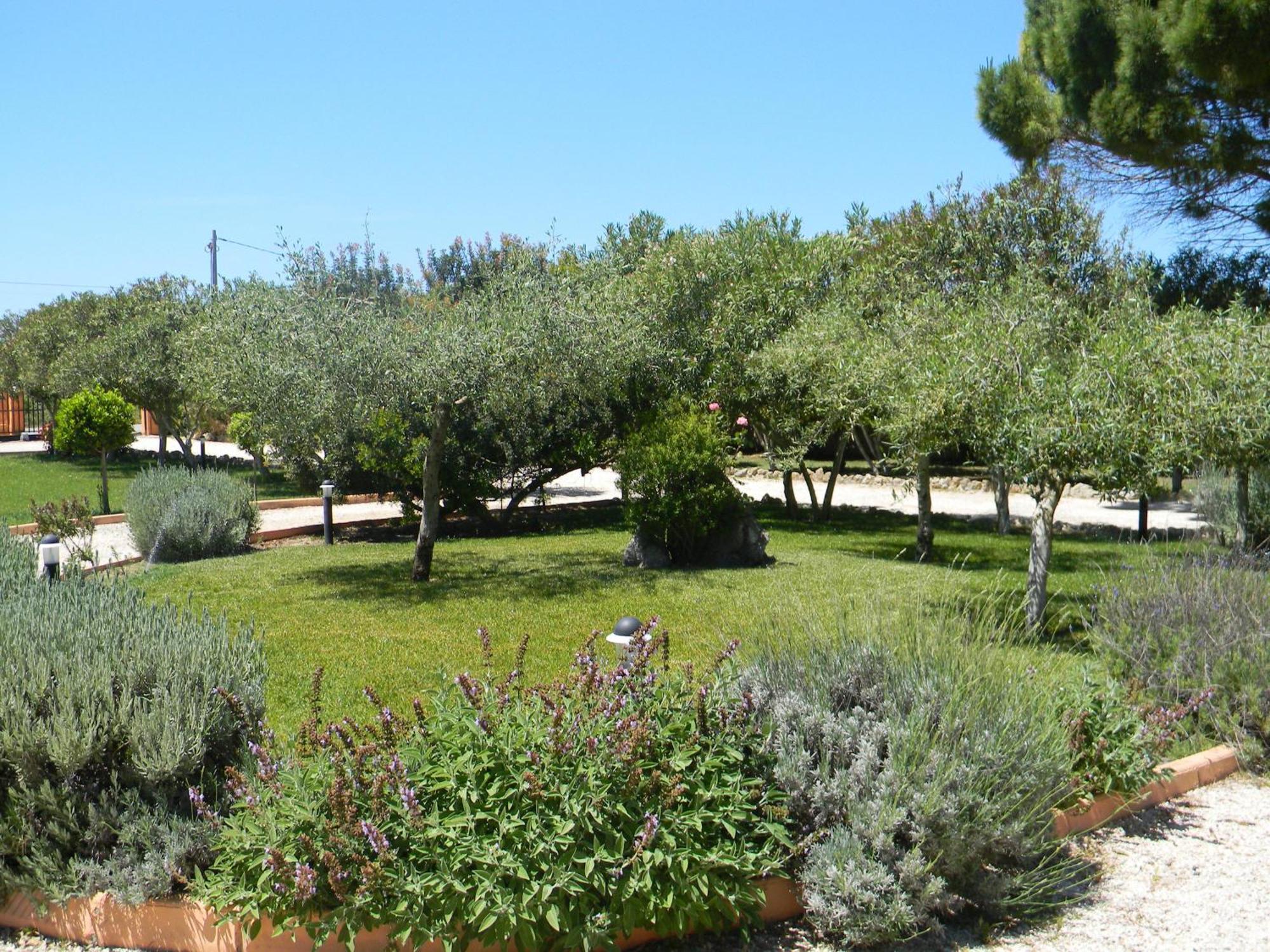 Is Benas Country Lodge San Vero Milis Extérieur photo